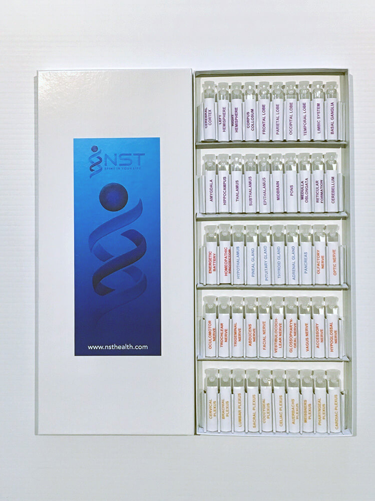 nst-brain_gland_nerve_test-kit