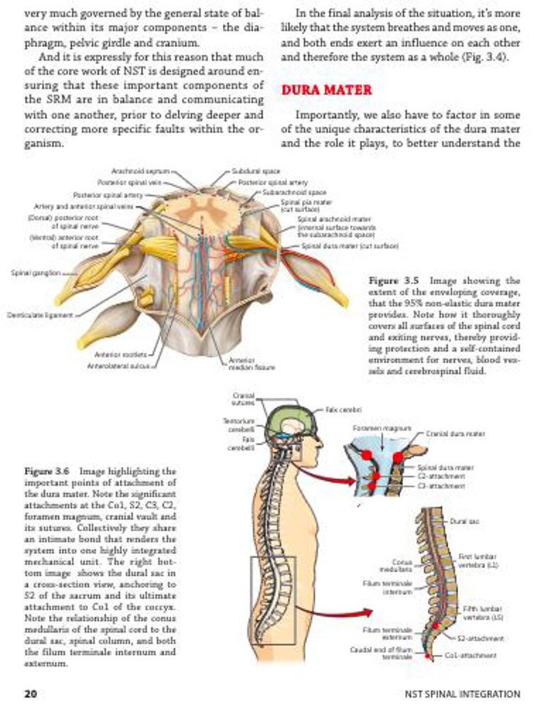 bookp12