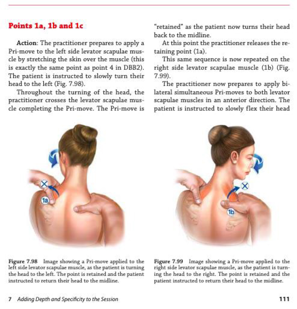 bookp4