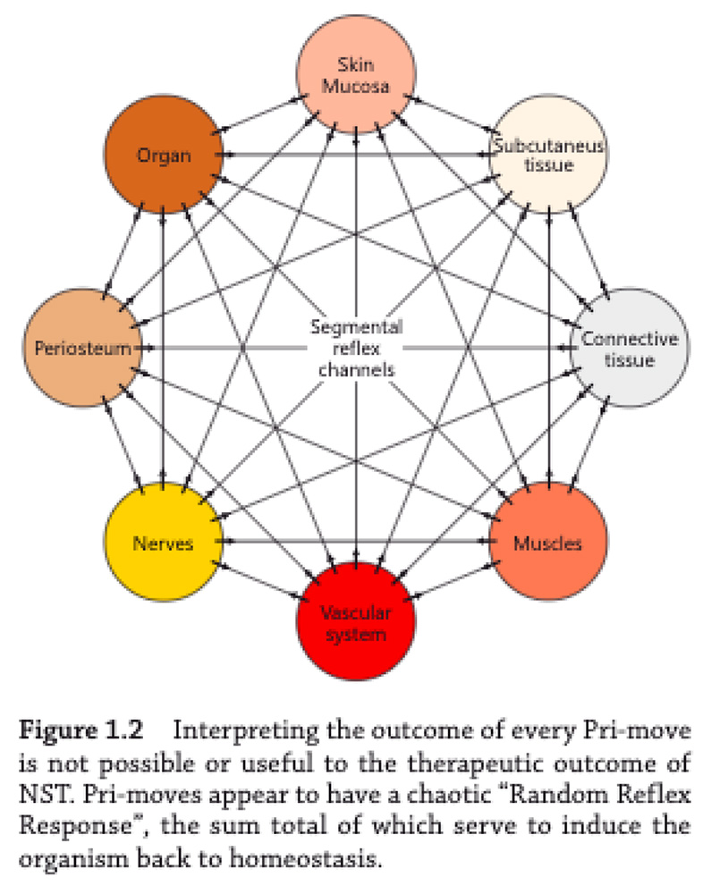bookp6