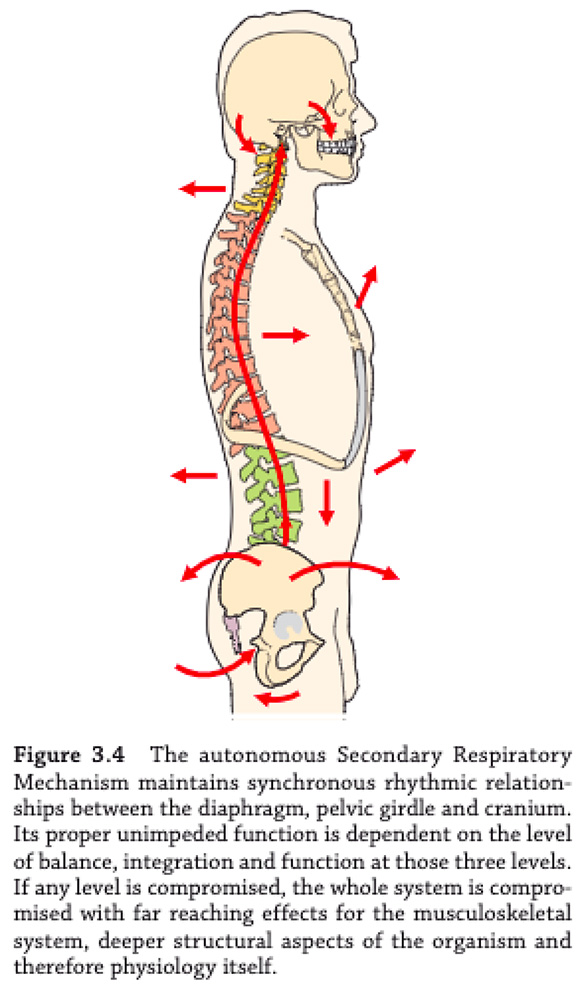 bookp8